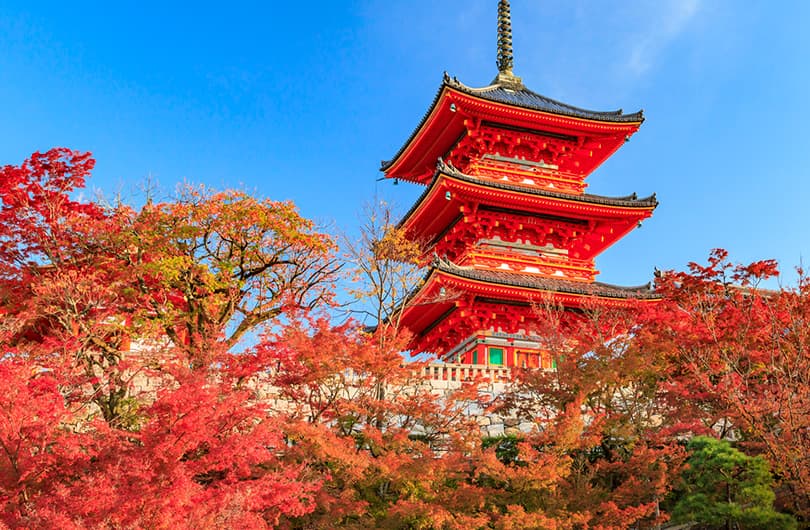 Kiyomizu-dera