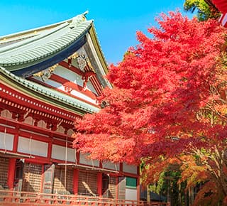 Hieizan Enryakuji Temple