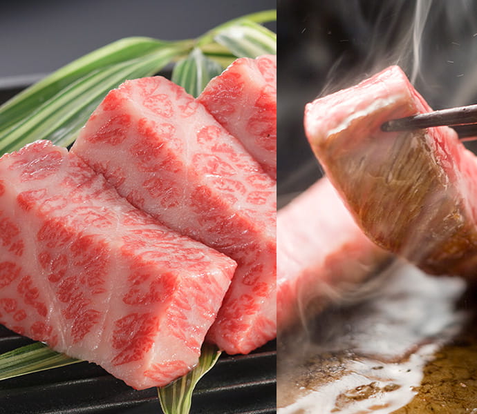 Un bœuf Wagyu Ômigyû