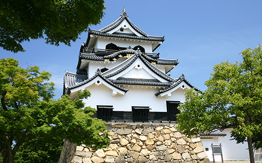 Hikone Castle