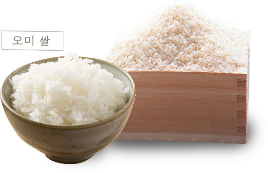 오미 쌀