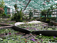 水生植物公園みずの森